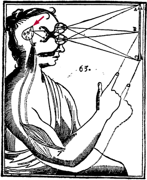 Descartes bild av tallkottkörteln