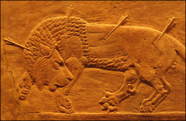 Assyrisk relief med lejon