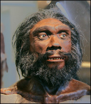 Rekonstruktion av Homo heidelbergensis