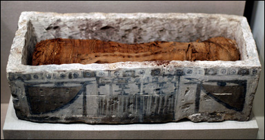Mumifierad egyptisk katt i sarkofag