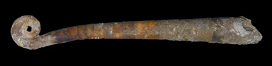 Skalet av den utdöda bläckfisken Lituites lituus från ordovicium (cirka 490-445 miljoner år före nutid)