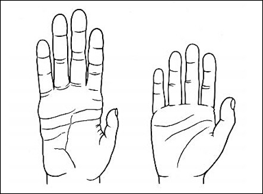 Händer av schimpans och människa